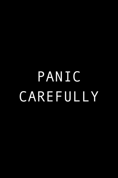 Póster de Panic Carefully