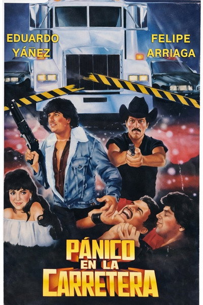 Póster de Panico en la carretera