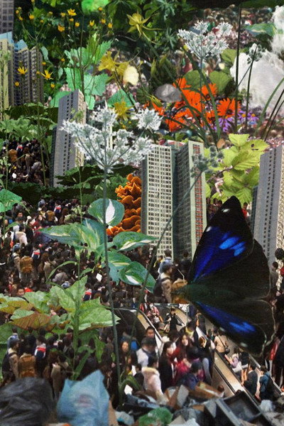 Póster de Panorama