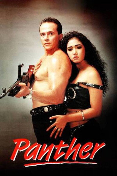 Póster de Panther