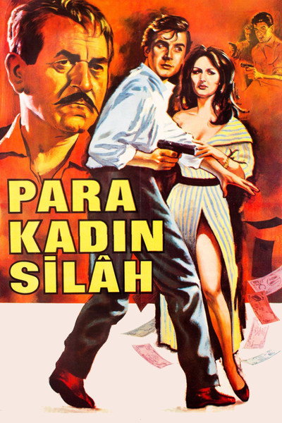 Póster de Para Kadin Silah