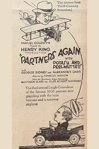 Póster de Partners Again
