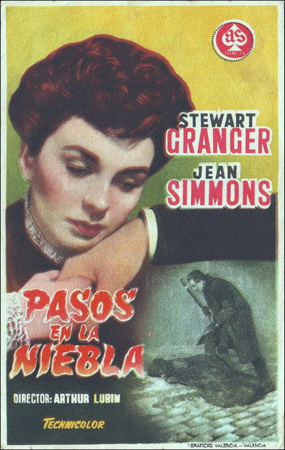 Póster de Pasos en la niebla