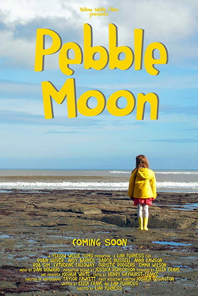 Póster de Pebble Moon