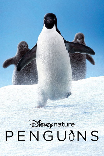 Póster de Penguins