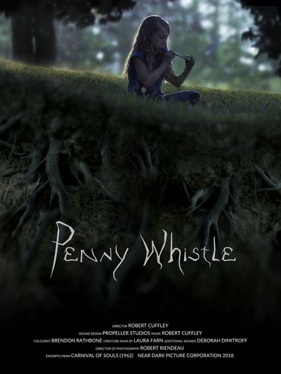 Póster de Penny Whistle