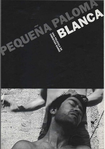Póster de Pequeña paloma blanca