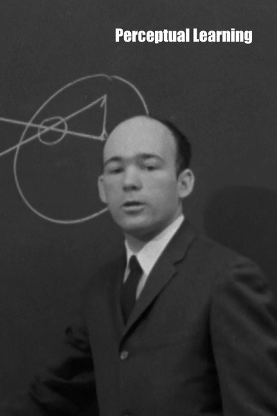 Póster de Perceptual Learning