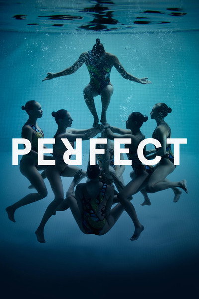 Póster de Perfect