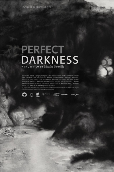 Póster de Perfect Darkness