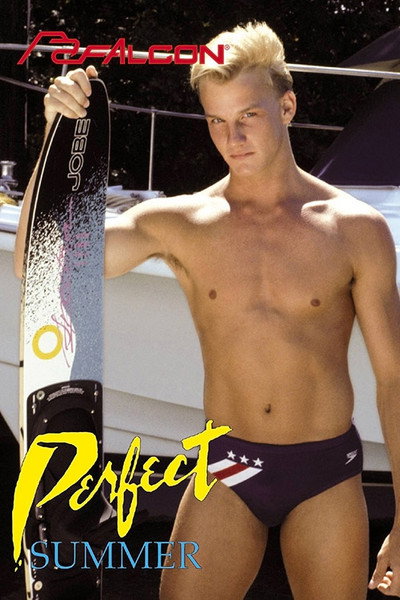 Póster de Perfect Summer