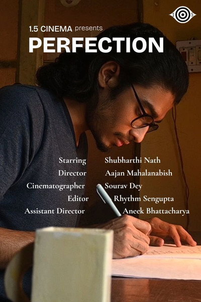 Póster de Perfection