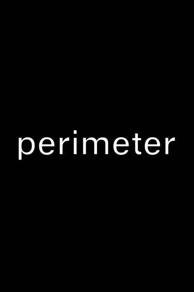 Póster de Perimeter