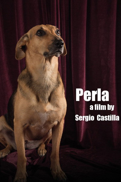 Póster de Perla: La Película