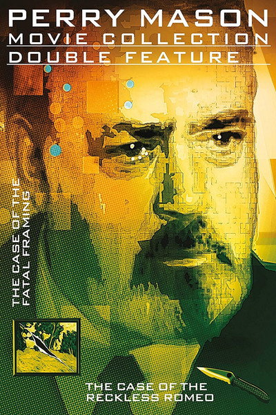 Póster de Perry Mason: El caso de la conspiracion fatal