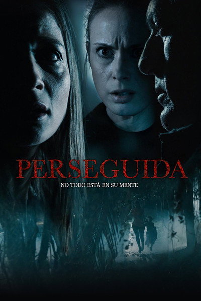 Póster de Perseguida