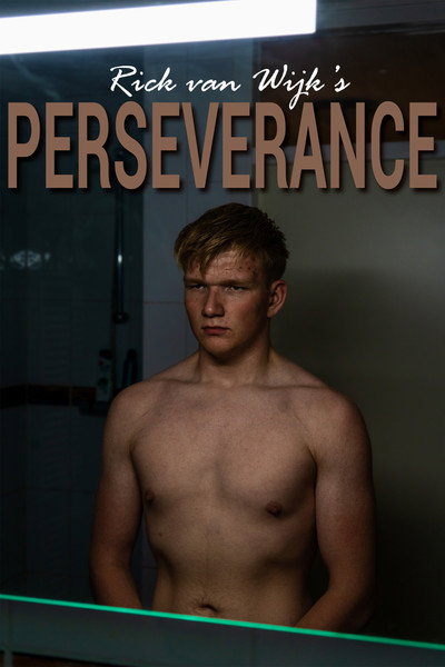 Póster de Perseverance