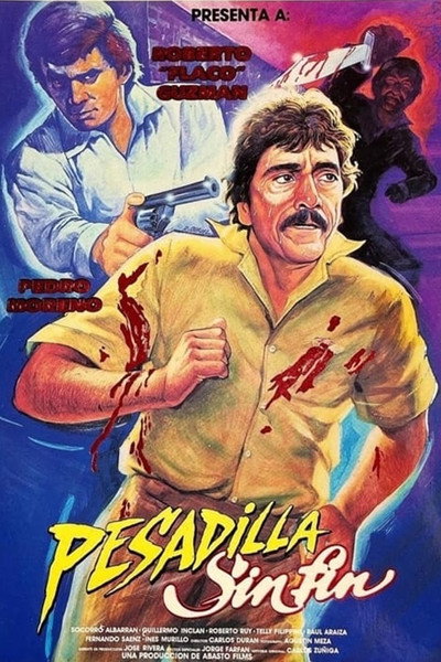 Póster de Pesadilla sin fin