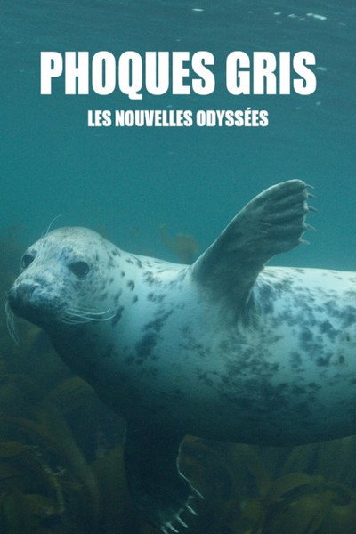 Póster de Phoques gris, les nouvelles odyssées