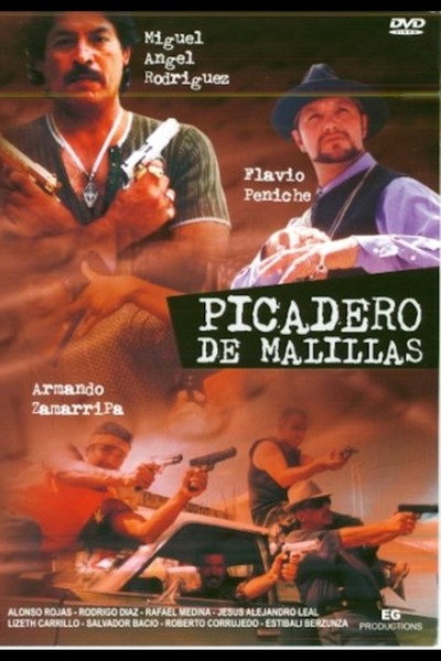 Póster de Picadero de malillas