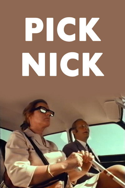 Póster de Picknick