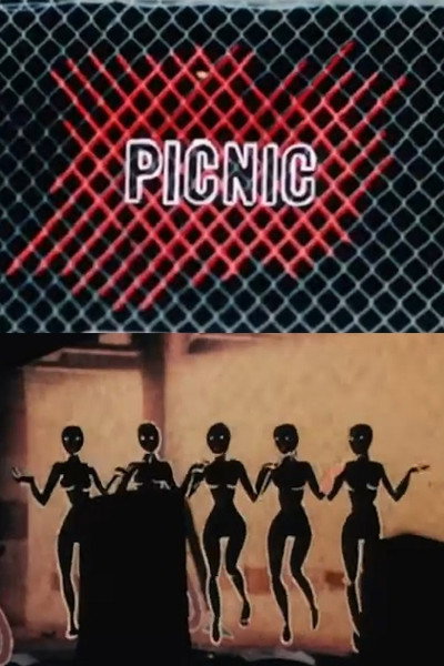 Póster de Picnic