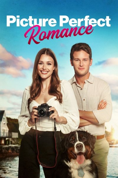 Póster de Picture Perfect Romance