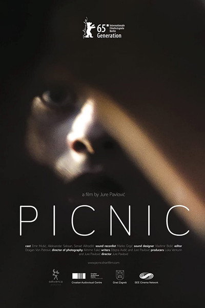 Póster de Piknik