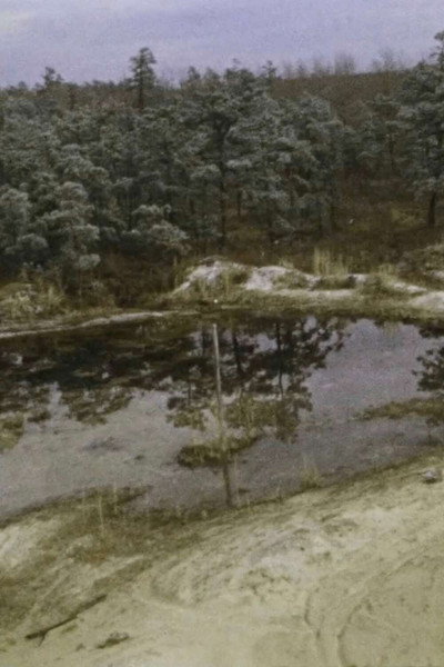 Póster de Pine Barrens