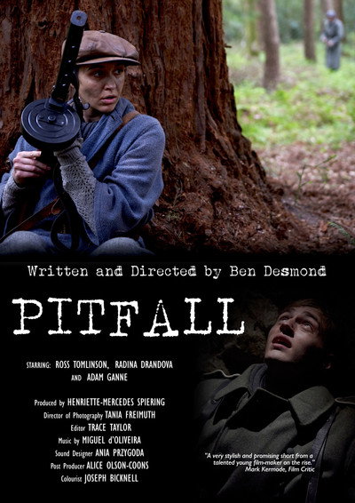 Póster de Pitfall
