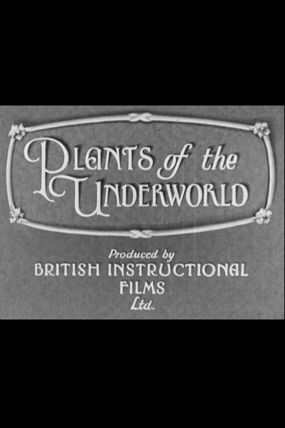 Póster de Plants of the Underworld