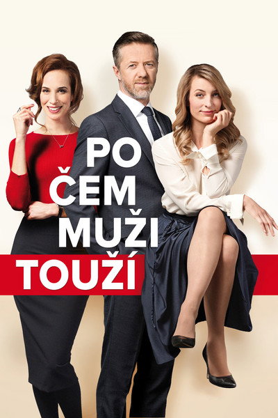 Póster de Po cem muzi touzí
