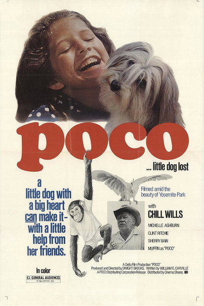 Póster de Poco... Little Dog Lost