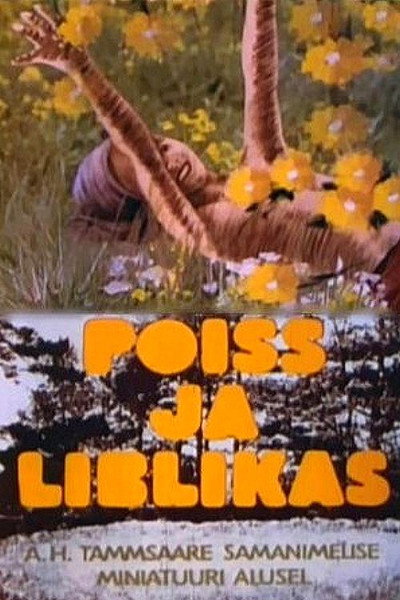 Póster de Poiss ja liblikas