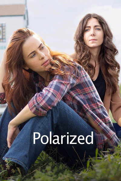 Póster de Polarized