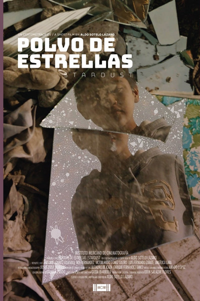 Póster de Polvo de estrellas