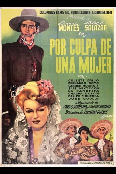 Póster de Por culpa de una mujer