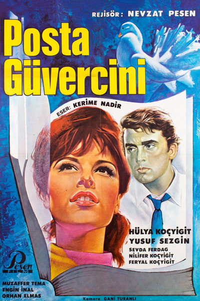 Póster de Posta güvercini