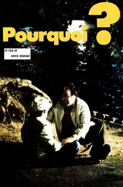 Póster de Pourquoi?