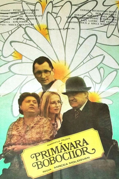 Póster de Primãvara bobocilor