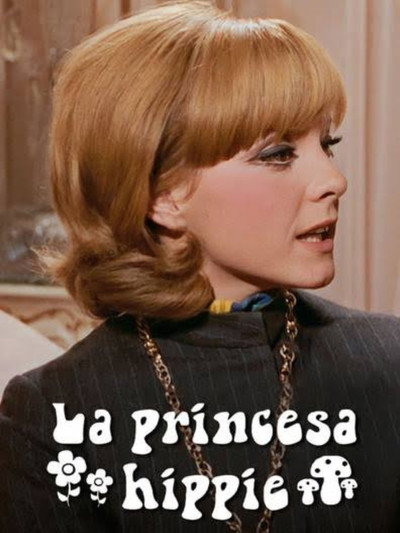 Póster de Princesa y vagabunda