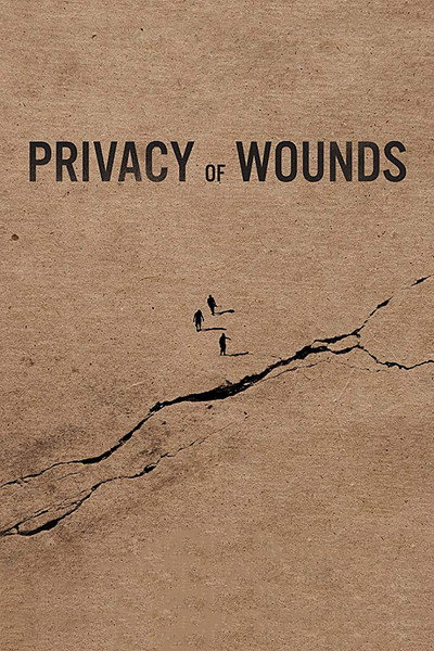 Póster de Privacy of Wounds