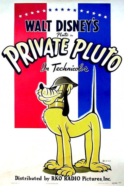 Póster de Private Pluto