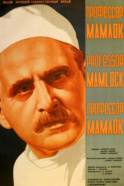 Póster de Professor Mamlok