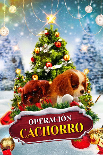 Póster de Project: Puppies for Christmas