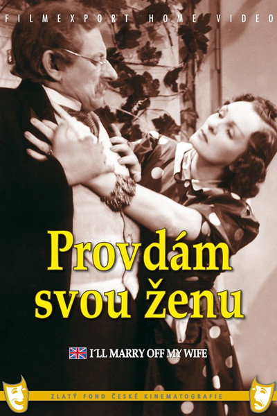 Póster de Provdám svou zenu