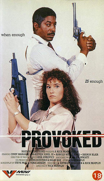 Póster de Provoked