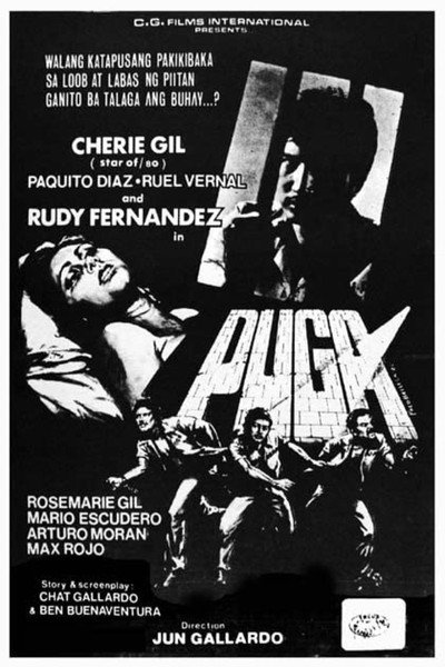 Póster de Puga