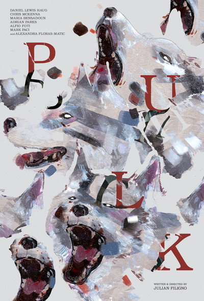 Póster de Pulk