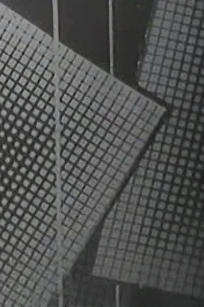 Póster de Pulse